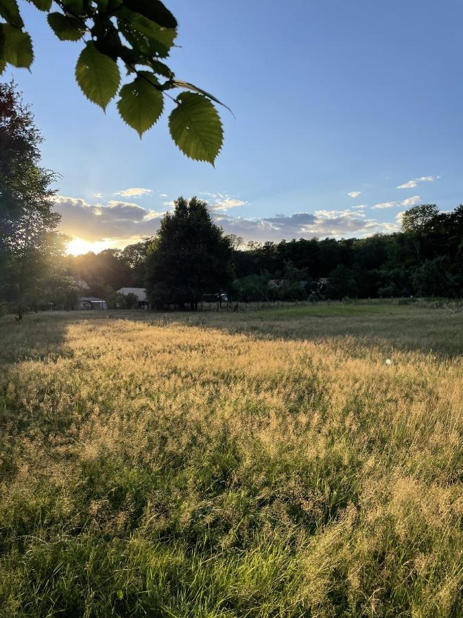 Appartamento Spreewaldhaus Am Landgut - Pretschen Markische Heide Esterno foto